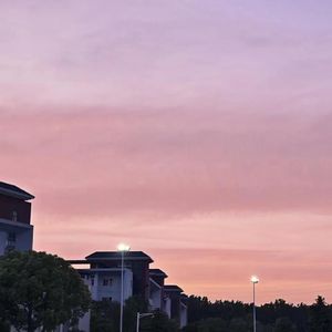 我的骨子里是自卑