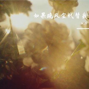 如果晚风会代替我