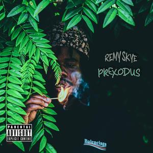 SAINT LAURENT IN THE SKY (feat. TR!P)