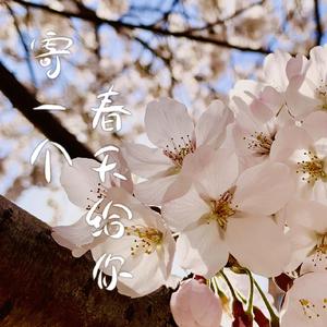 寄一个春天给你（严浩翔十七岁生贺应援曲）