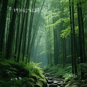 竹林深处 (Cover 王力宏)