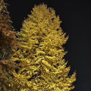 相逢已是上上签