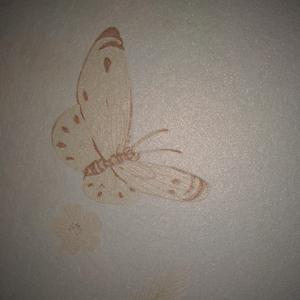 生日歌 （搞错了2）