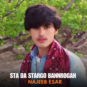 Sta Da Stargo Bannrogan