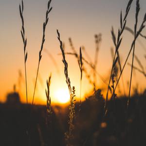 张彦休妻 (第一场)