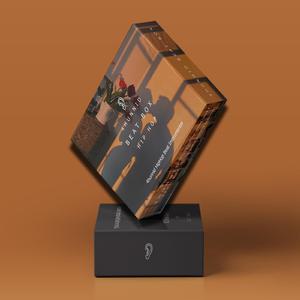 Dua Lipa x R&B Funk Type Beat "Drama"