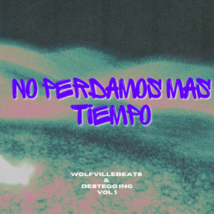 No Perdamos Tiempo