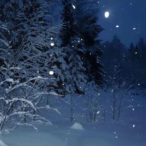 《Yok kan yar》630《她讨厌冬天》kxpl 泰姆