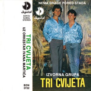 Kolo vejavica