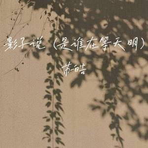 影子说 (是谁在等天明)