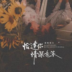 恰逢你情深意浓