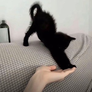 我们的爱像香水后调