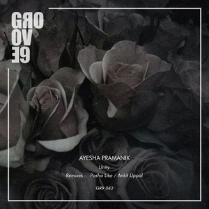 Unity (Pasha Like Remix)