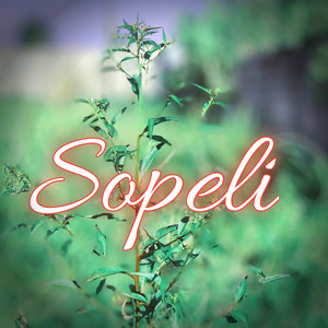 Sopeli