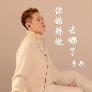 你的骄傲去哪了