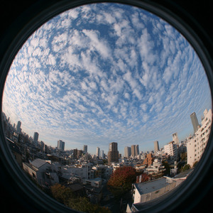 空が高くなるころに