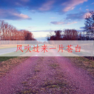 风吹过来一片苍白 (DJ版)