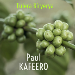 Ye Musumba