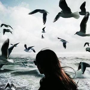 Jay Sean-Ride It 可我不爱你（bootleg）（可有道 remix）