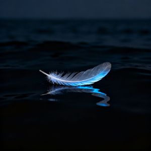 Drift Into Night