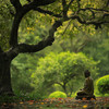 Meditadores - Resonancia Pacífica De La Lluvia En La Meditación