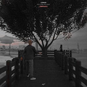 Falling In Love (Lianju & Qaden James VIP Mix)