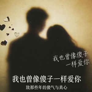 我也曾像个傻子一样爱你