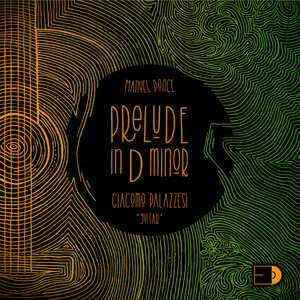 24 Guitar Preludes:No. 24, No. 24 in D Minor. Moderato espressivo