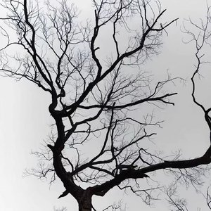 只要尘世的幸福