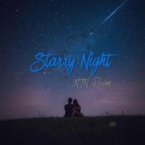 ความลับของดาวตก (Starry Night)