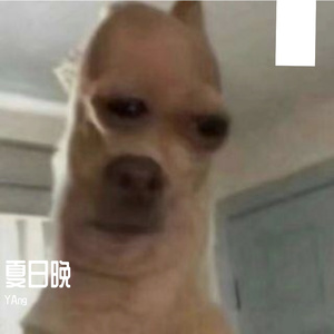 Struggles in Cyberpunk Future