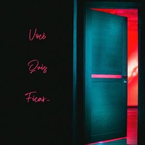 Você Quis Ficar