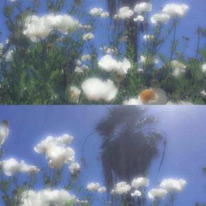 冬眠(1)（翻自 司南）