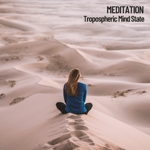 Birds Sounds Concentration