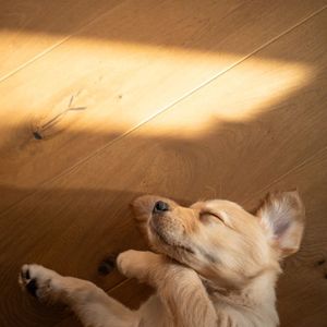 相见时难别亦难 (无题)