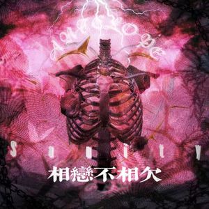 相恋不相欠