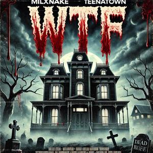 wtf (feat. teenatown & TTen) (TTen Mix Version)