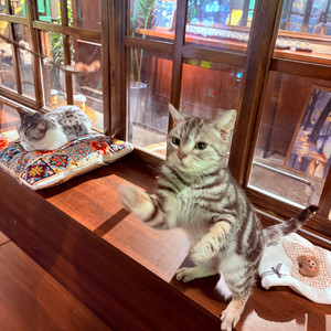 当我想你之时pt.1