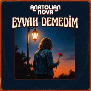 Eyvah Demedim