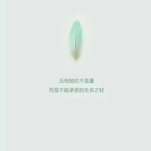 The Next Fellow Traveler