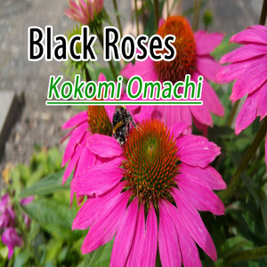 Black Roses