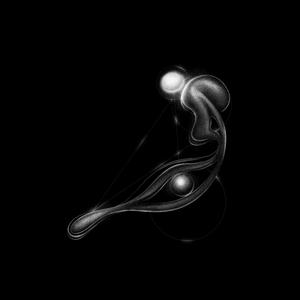 lost within the end ~ambient focus depth~