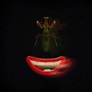 Those Flowers Were Plastic