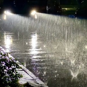 你我的相遇 就像仓促的一场雨