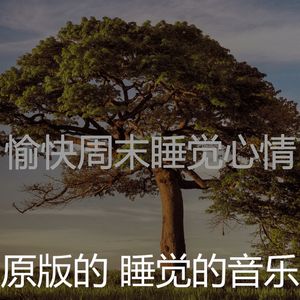 抚慰的做梦回忆