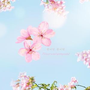 Flower wind spring wind 꽃바람 봄바람