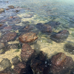初恋幻想的破灭
