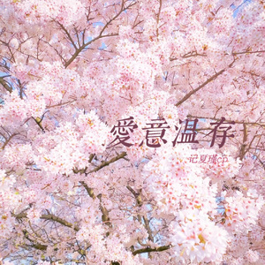 爱意温存