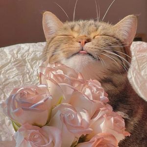 可愛くてごめん