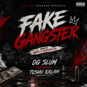 FAKE GANGSTER (feat. BEATZZ CONTROLLER & Tushu kalam)